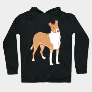 Smooth Collie Hoodie